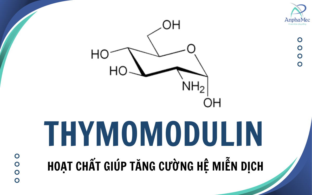 Thymomodulin - Hoạt chất giúp tăng cường hệ miễn dịch