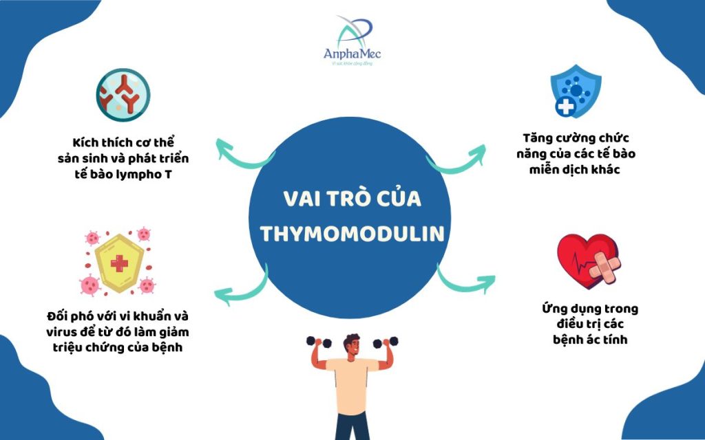 Vai trò của Thymomodulin đối với cơ thể